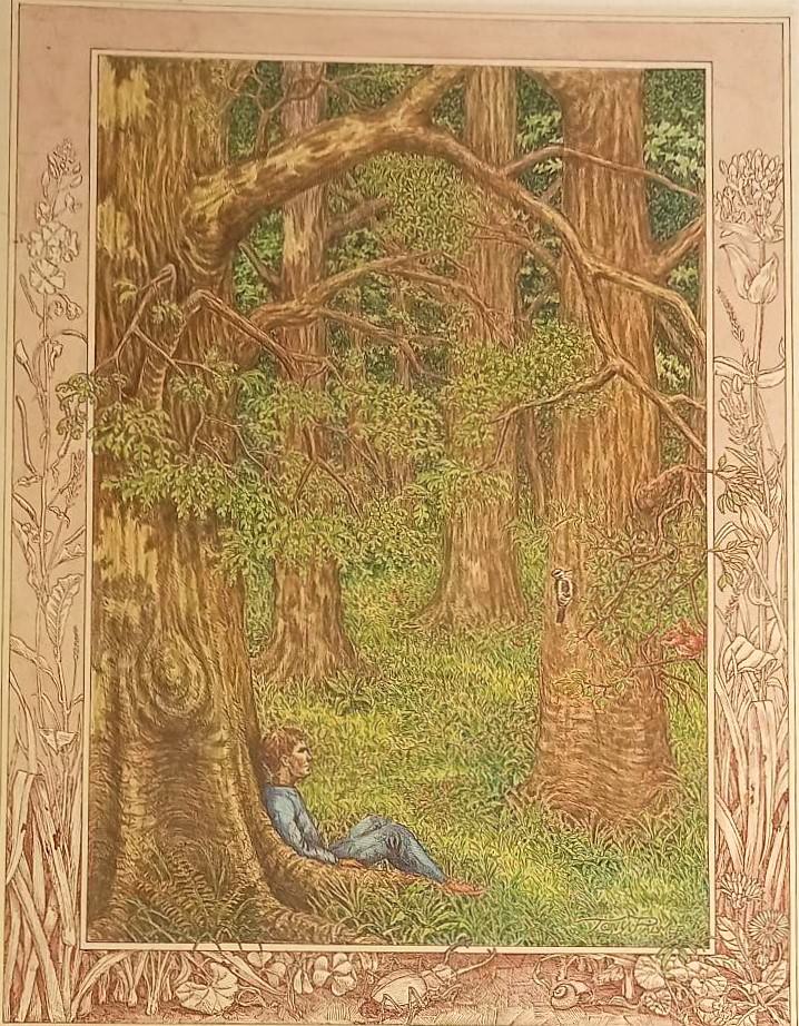 A14b-Frontis-page-for-Nigel-lost.-Pen-ink-and-acrylic-wash.-Available