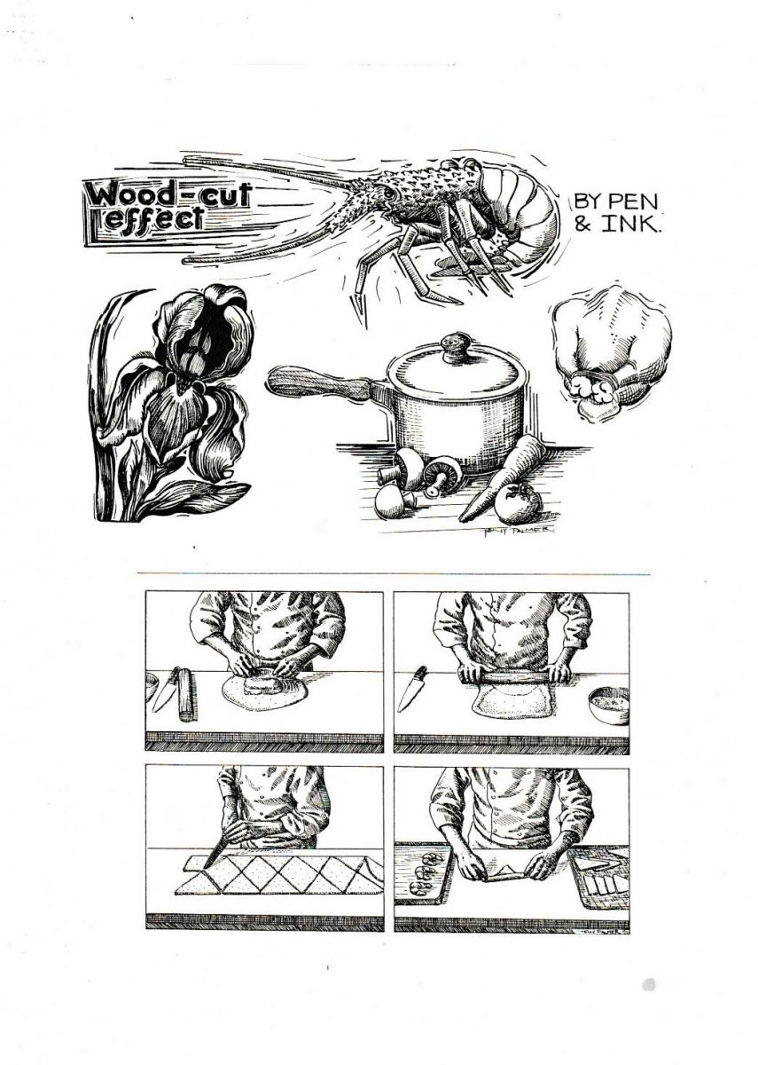 A15b.-Illustration-for-cookery-and-demonstration-of-wood-cut-effect-using-pen-and-ink