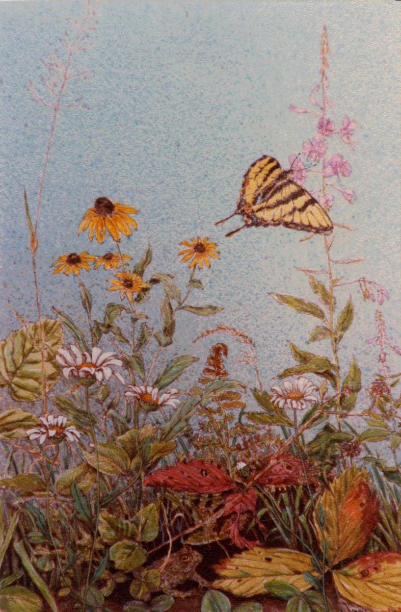 A14.-Etude-de-la-nature.-Ete.-Plume-encre-et-lavis-acrylique.-Vendu