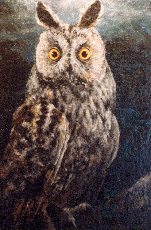 B1.Hibou-des-aureis-longes.-Huil-1978-Vendu