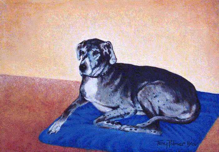 B6.-A.J.-Vieux-Chien-comande-du-Cliant.-2005.-Oil