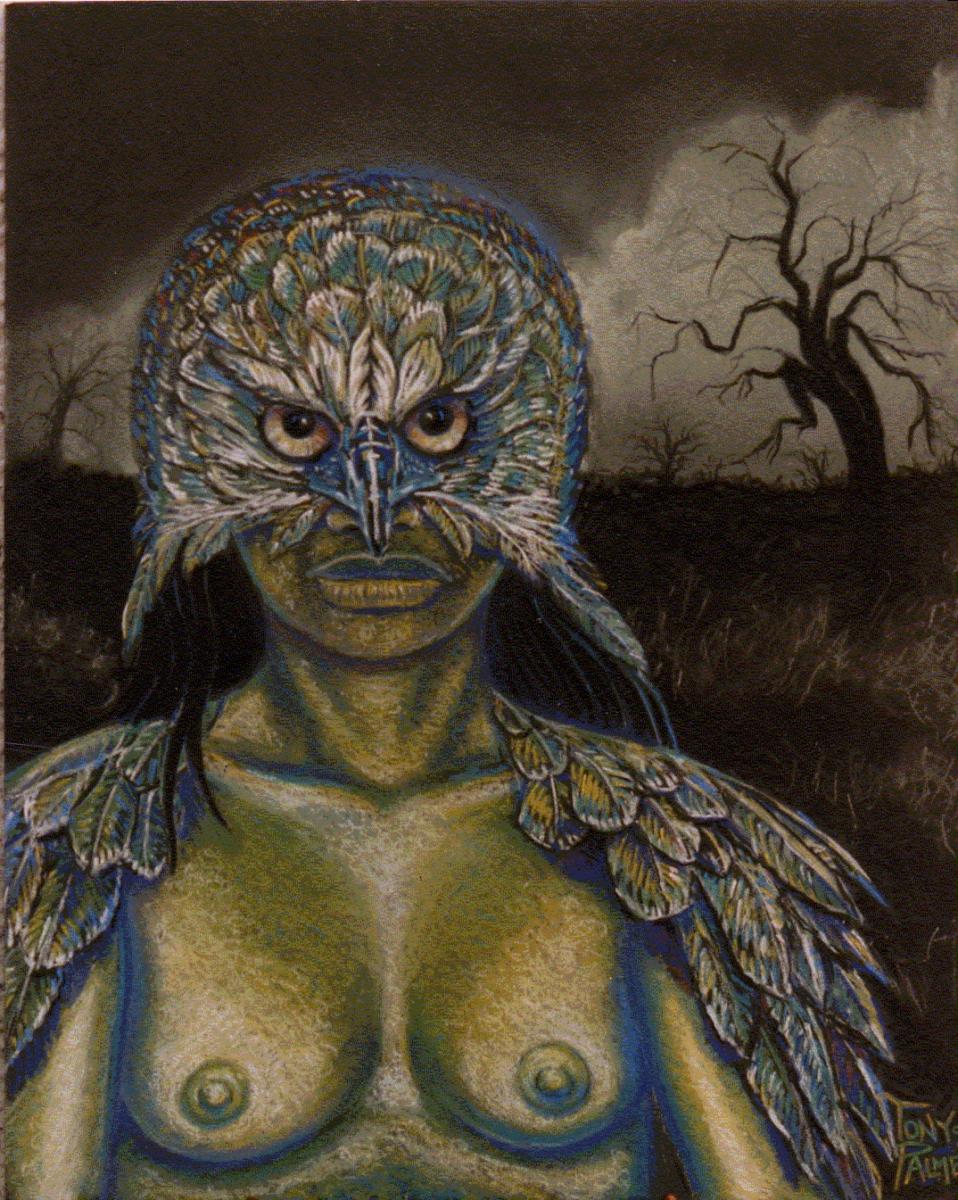 A29.-SHARMAN-EN-COSTUME-DOISEAU-Pastel-1997-Disponible