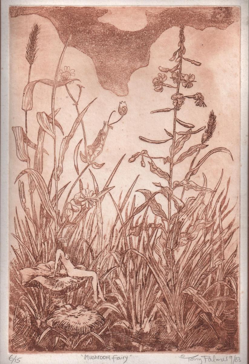 A66.-MUSHROOM-FAIRY.-Etching-1983-Series-sold
