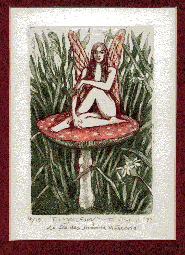 A68.-FLY-AGARIC-FAIRY.-Etching.-1983